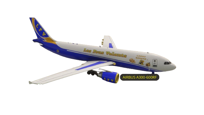 Photo de la Livrée de l'airbus a300-600RF des fous volants dans sa version cargo